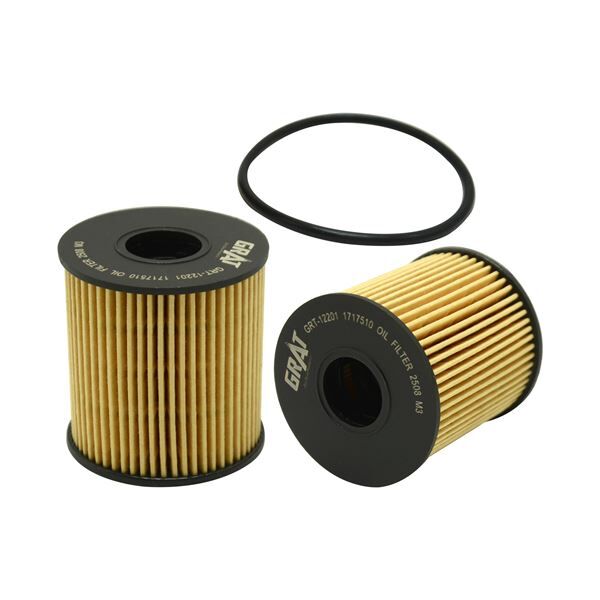 Peugeot 206 | 1.4 - 1.6 Benzinli Grat Yağ Filtresi