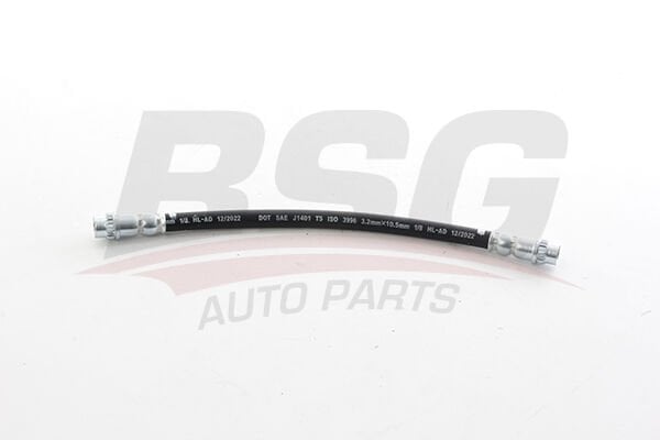 Peugeot 206 | Sol Arka Fren Hortumu BSG