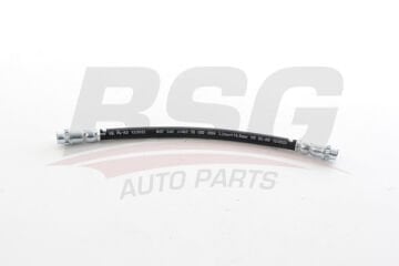 Peugeot 206 | Sol Arka Fren Hortumu BSG