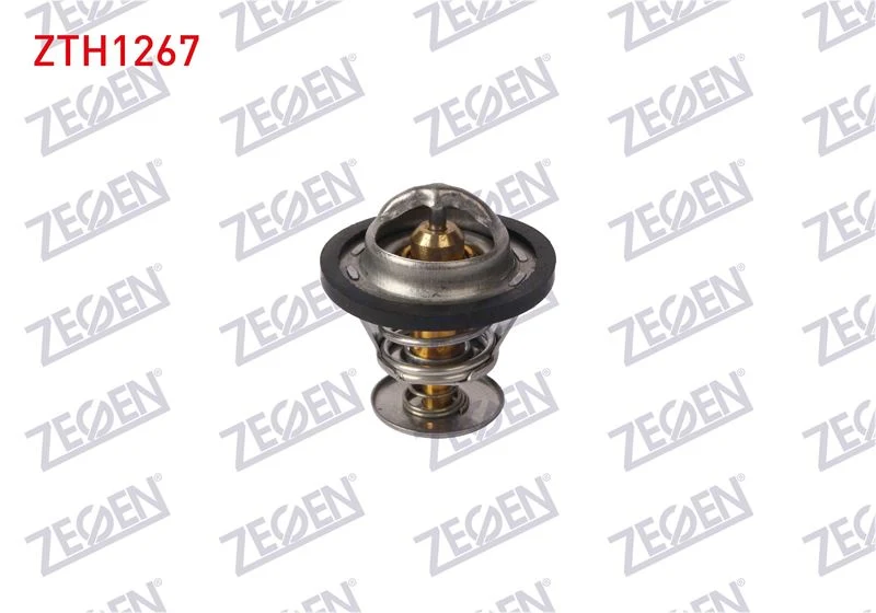 Citroen Saxo I  Termostat ZEGEN
