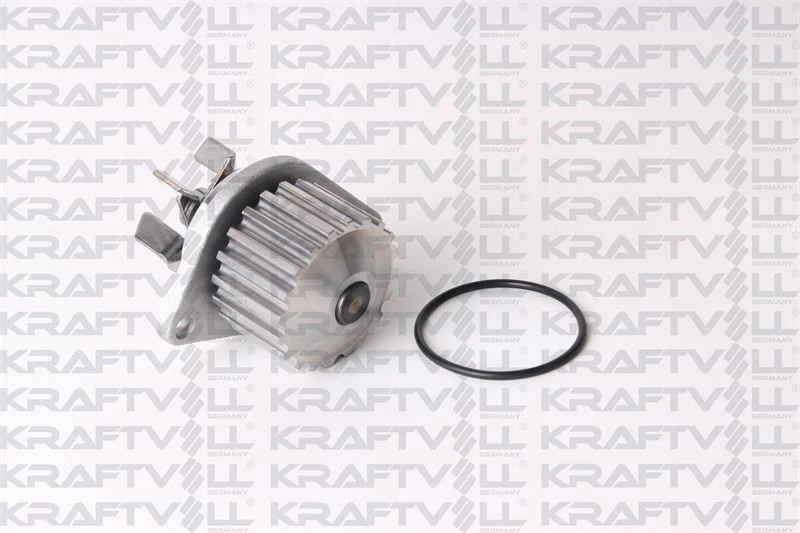 Citroen Saxo I  Termostat VALEO